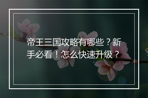 帝王三国攻略有哪些?新手必看!怎么快速升级?