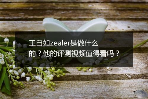 王自如zealer是做什么的？他的评测视频值得看吗？