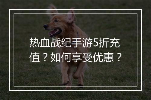 热血战纪手游5折充值？如何享受优惠？