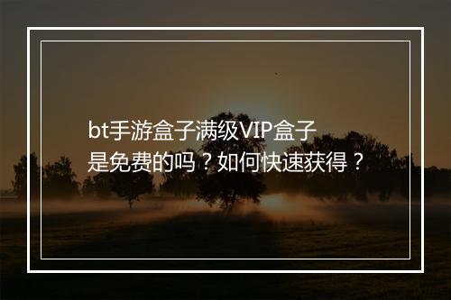 bt手游盒子满级VIP盒子是免费的吗?如何快速获得?
