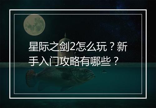 星际之剑2怎么玩？新手入门攻略有哪些？