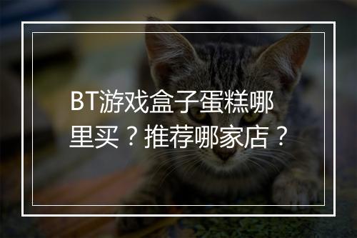 BT游戏盒子蛋糕哪里买？推荐哪家店？