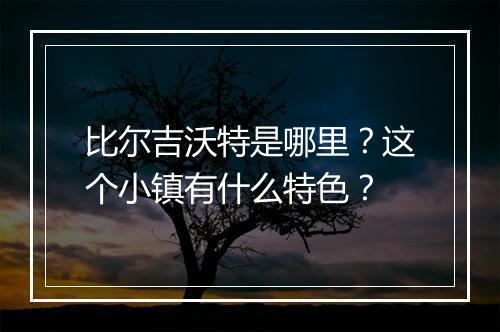 比尔吉沃特是哪里?这个小镇有什么特色?