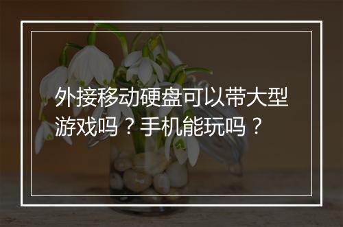 外接移动硬盘可以带大型游戏吗？手机能玩吗？