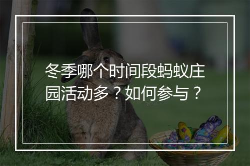 冬季哪个时间段蚂蚁庄园活动多？如何参与？