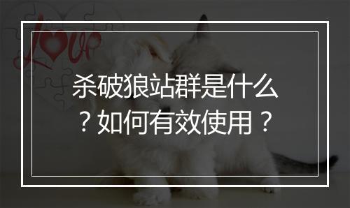 杀破狼站群是什么?如何有效使用?