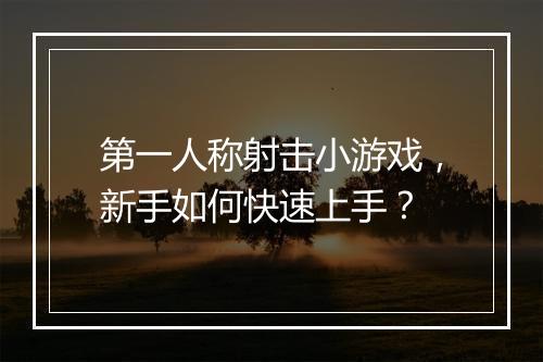 第一人称射击小游戏,新手如何快速上手?