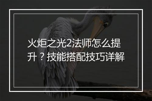 火炬之光2法师怎么提升？技能搭配技巧详解