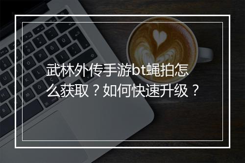 武林外传手游bt蝇拍怎么获取?如何快速升级?