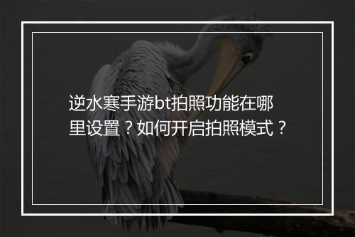 逆水寒手游bt拍照功能在哪里设置?如何开启拍照模式?