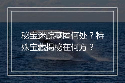 秘宝迷踪藏匿何处?特殊宝藏揭秘在何方?