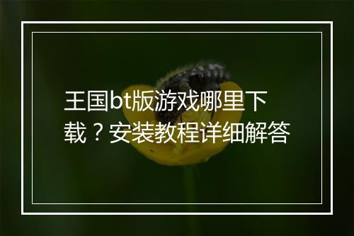 王国bt版游戏哪里下载?安装教程详细解答
