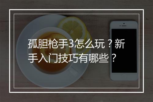 孤胆枪手3怎么玩？新手入门技巧有哪些？