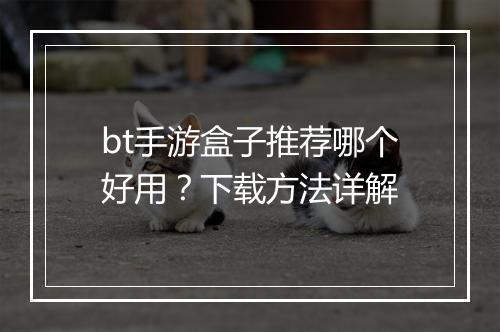 bt手游盒子推荐哪个好用？下载方法详解