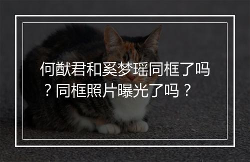 何猷君和奚梦瑶同框了吗？同框照片曝光了吗？