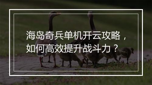 海岛奇兵单机开云攻略，如何高效提升战斗力？