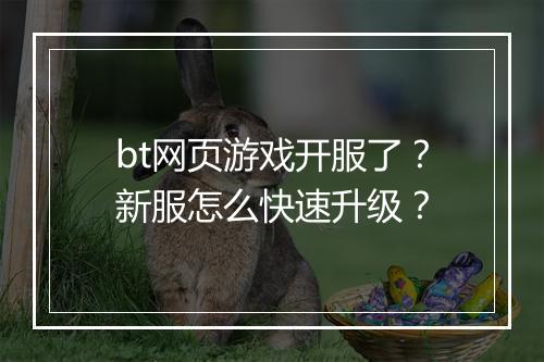 bt网页游戏开服了?新服怎么快速升级?