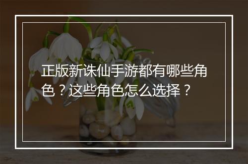 正版新诛仙手游都有哪些角色？这些角色怎么选择？