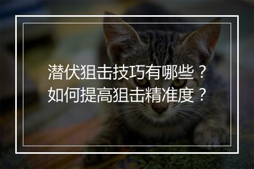 潜伏狙击技巧有哪些?如何提高狙击精准度?