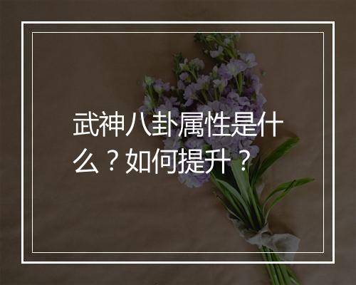 武神八卦属性是什么？如何提升？