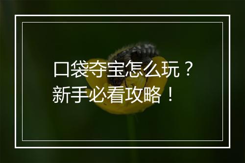 口袋夺宝怎么玩?新手必看攻略!