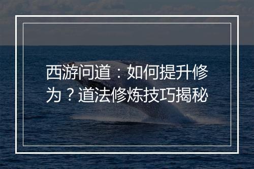 西游问道:如何提升修为?道法修炼技巧揭秘