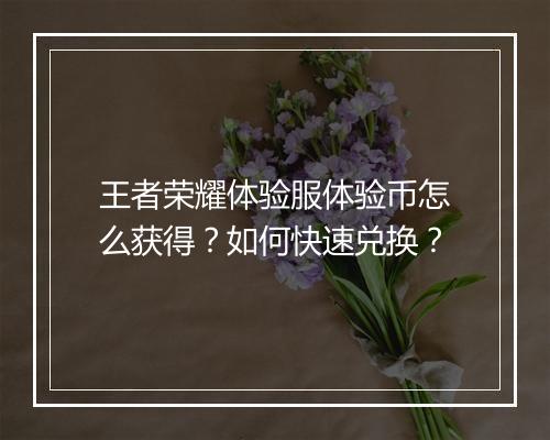王者荣耀体验服体验币怎么获得？如何快速兑换？