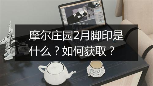 摩尔庄园2月脚印是什么?如何获取?