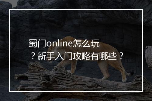 蜀门online怎么玩?新手入门攻略有哪些?