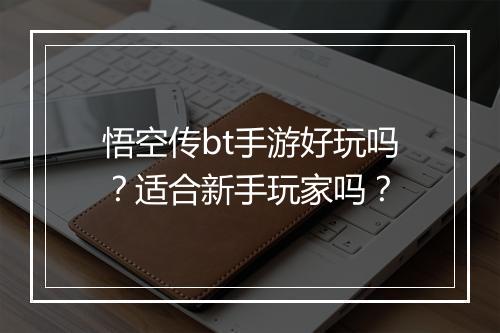 悟空传bt手游好玩吗?适合新手玩家吗?