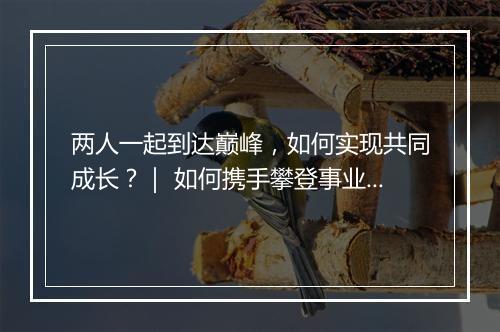 两人一起到达巅峰,如何实现共同成长?| 如何携手攀登事业巅峰?