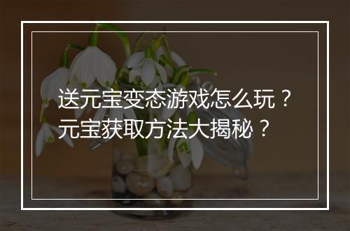 送元宝变态游戏怎么玩?元宝获取方法大揭秘?