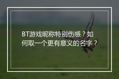 BT游戏昵称特别伤感?如何取一个更有意义的名字?