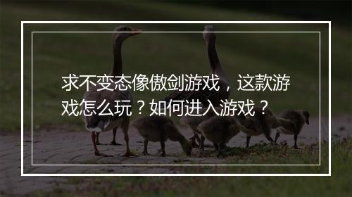 求不变态像傲剑游戏,这款游戏怎么玩?如何进入游戏?