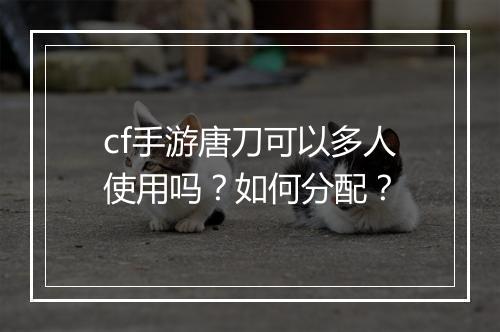 cf手游唐刀可以多人使用吗？如何分配？