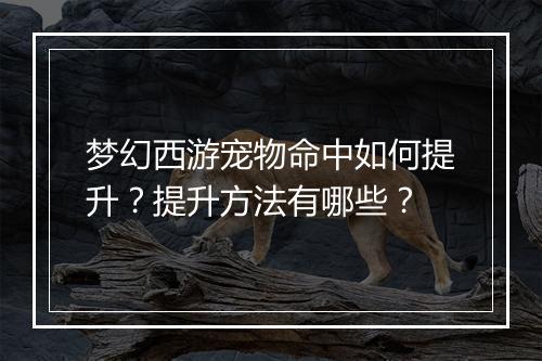 梦幻西游宠物命中如何提升？提升方法有哪些？