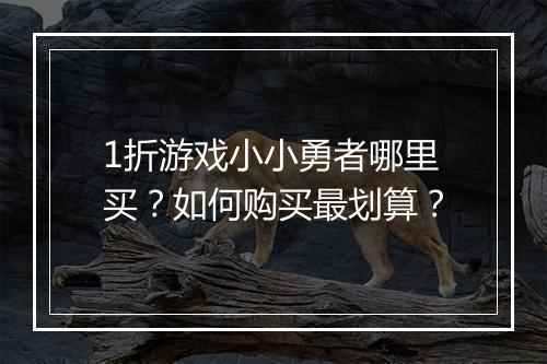 1折游戏小小勇者哪里买?如何购买最划算?