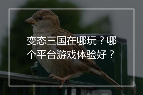 变态三国在哪玩?哪个平台游戏体验好?