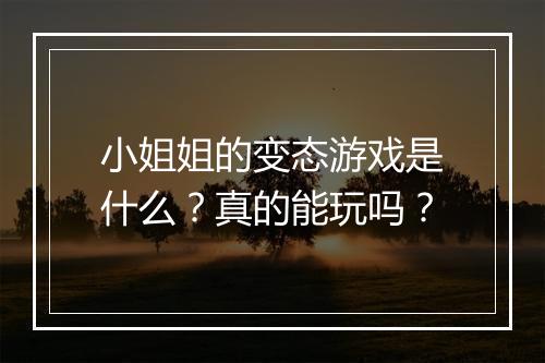 小姐姐的变态游戏是什么?真的能玩吗?