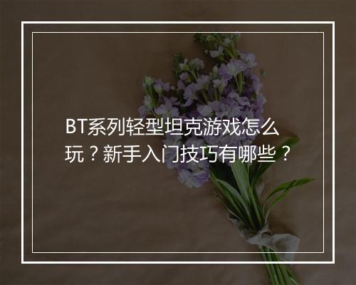 BT系列轻型坦克游戏怎么玩?新手入门技巧有哪些?