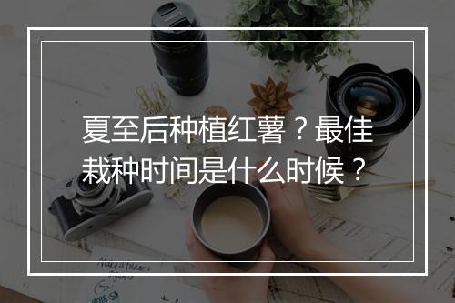 夏至后种植红薯?最佳栽种时间是什么时候?