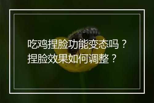 吃鸡捏脸功能变态吗?捏脸效果如何调整?