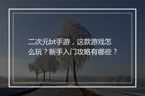 二次元bt手游,这款游戏怎么玩?新手入门攻略有哪些?