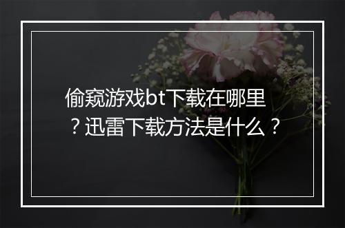 偷窥游戏bt下载在哪里?迅雷下载方法是什么?
