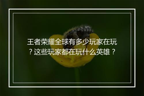王者荣耀全球有多少玩家在玩？这些玩家都在玩什么英雄？