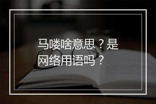马喽啥意思?是网络用语吗?