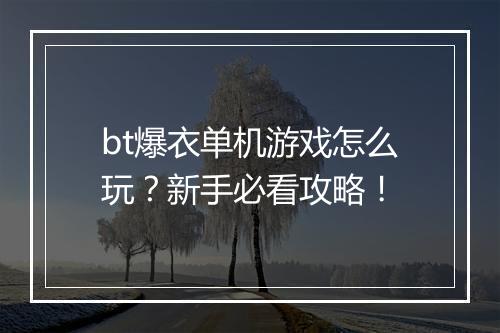 bt爆衣单机游戏怎么玩?新手必看攻略!