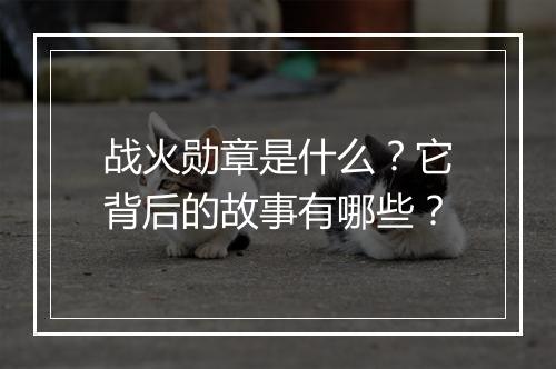 战火勋章是什么?它背后的故事有哪些?