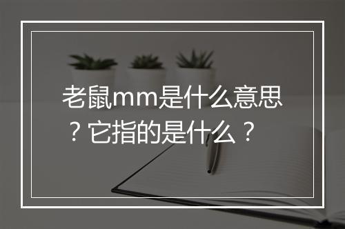 老鼠mm是什么意思？它指的是什么？