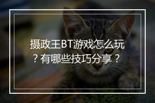 摄政王BT游戏怎么玩？有哪些技巧分享？